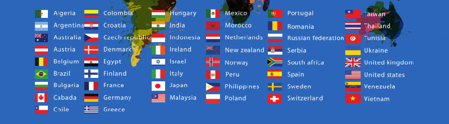 外贸独立站推广小语种网站建设  第1张